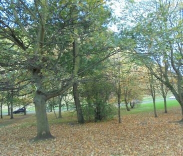 20/10 Dumbiedykes Road, Edinburgh, EH8 9UU - Photo 4