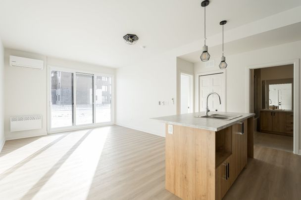 140 Rue Michel-Choinière, Salaberry-De-Valleyfield - Photo 1