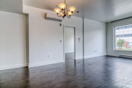 Appartement à louer - Montréal (Côte-des-Neiges/Notre-Dame-de-Grâce) (Côte-des-Neiges) Appartement à louer - Montréal (Côte-des-Neiges/Notre-Dame-de-Grâce) (Côte-des-Neiges) - Photo 4