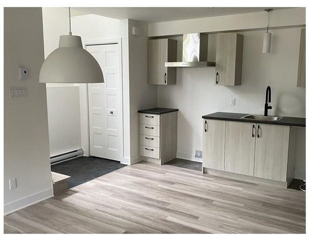 À louer / Maison de plain-pied - Photo 1