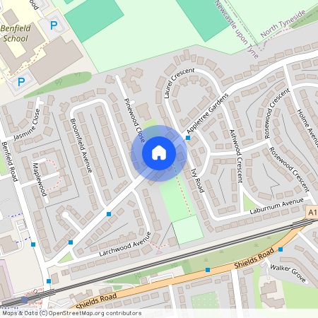 Newcastle Upon Tyne, Appletree Gardens