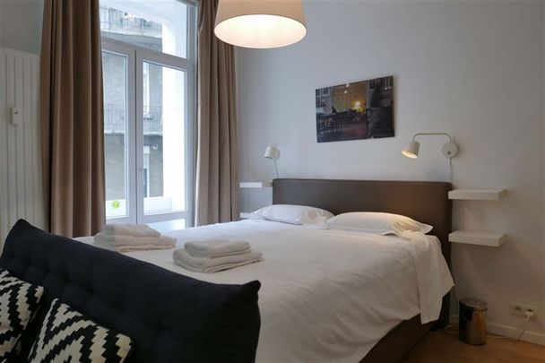 Furnished apartment in the Louise area - Photo 1