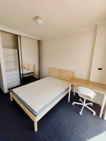 3 bed 2 bath-35 - Photo 3