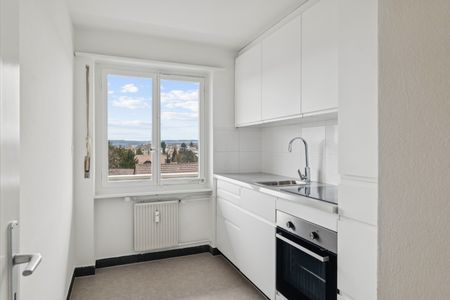 Jetzt einziehen - frisch renovierte Wohnung ruhig, grün und zentral - Foto 4