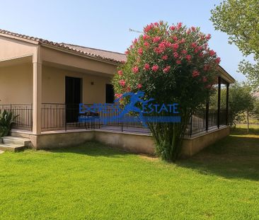 Μονοκατοικία για ενοικίαση Άγιος Παντελεήμονας (Μαραθώνας) - Photo 3