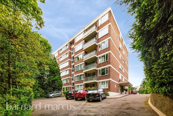 Shepherds Hill - Photo 1