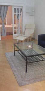 FURNISHED 1BR Ground level apartment available December 1 - Photo 3