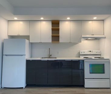 BEAU LOFT – CUISINE RÉNOVÉE – VILLERAY, MONTRÉAL - Photo 3