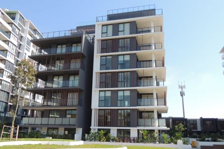 Modern 2-bedroom Apartment! - Photo 2