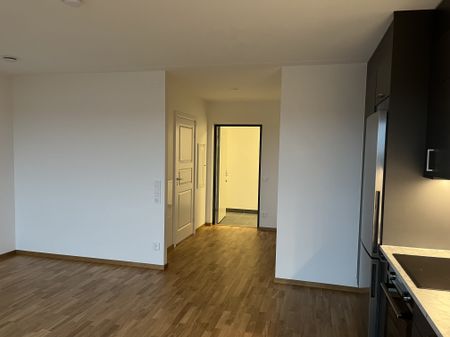 Magistratsvägen, Lund - Photo 5