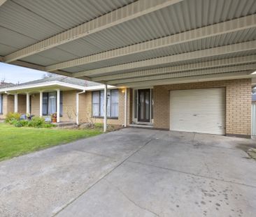 704 Eureka Street, Ballarat East - Photo 4
