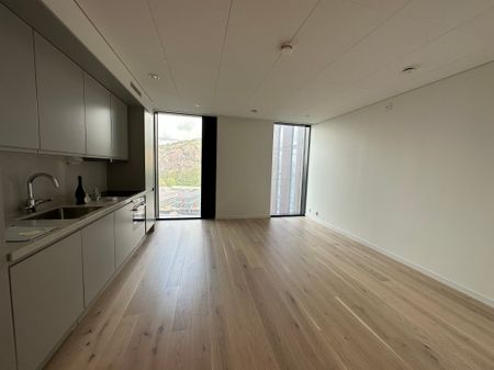 Lodjursstråket, Göteborg, Goteborg - Foto 3
