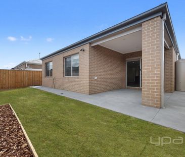 BRAND NEW 4 BEDROOM FAMILY HOME - Photo 4