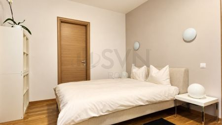 3 CAM I Baneasa I Privighetorilor I Terasa generoasa - Fotografie 4