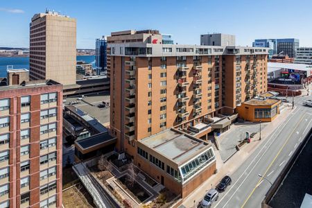 Flex Plus - Halifax Apartments - Photo 5