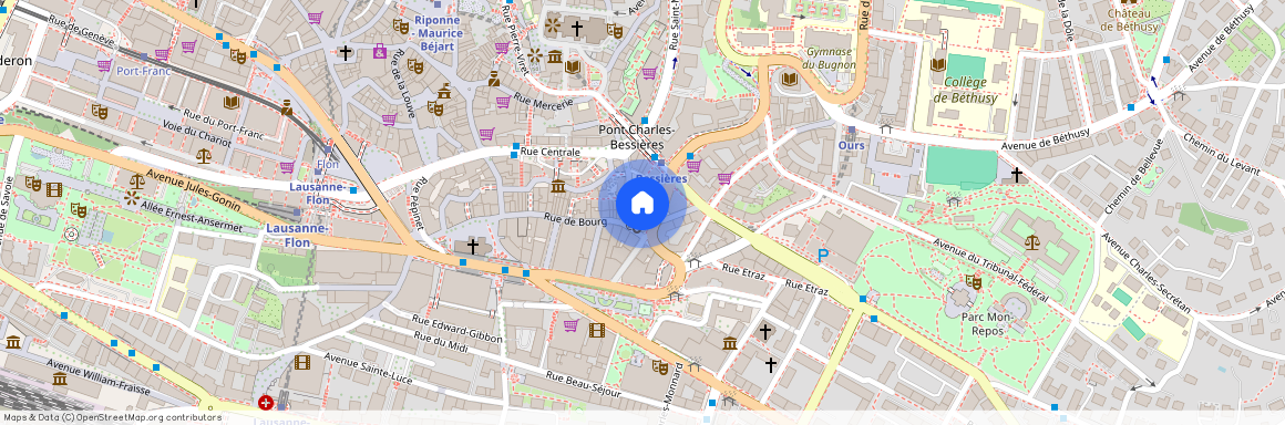 1003, Lausanne, Rue de Bourg, 51