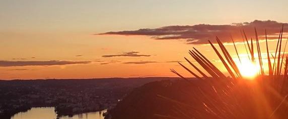 NACHMIETER gesucht ab sofort /DECEMBER/1.12.25 Innstadt Passau - Photo 1