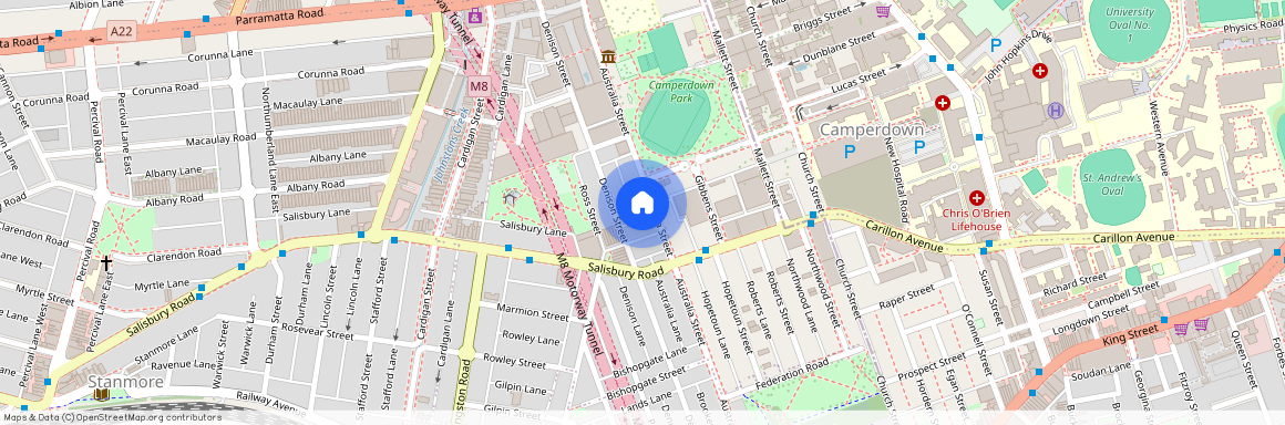 93 Australia Street Camperdown NSW