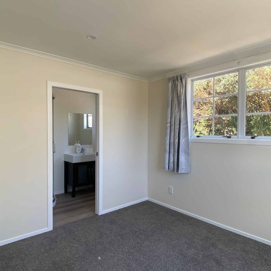 Big and Beautiful - Photo 1