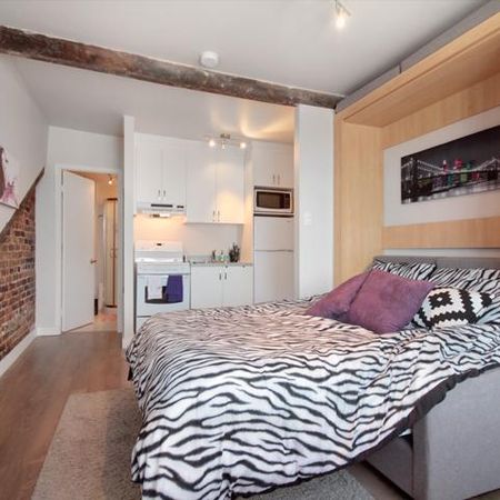 Loft entièrement meublé à louer Saint-Jean-Baptiste octobre 2025 - Photo 3