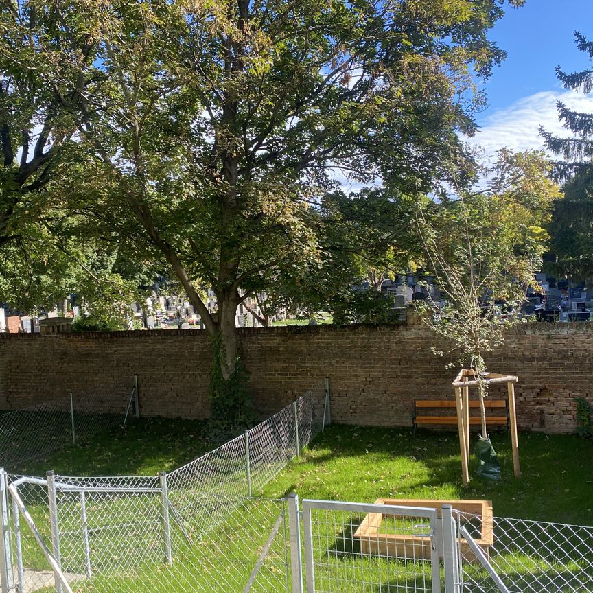 2 Zimmer Wohnung mit Terrasse und Garten - Ordination ERSTBEZUG - Photo 1
