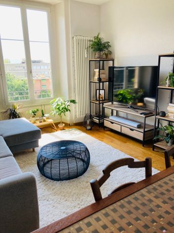 Nice 2-room apartment with character near the lake - Foto 4