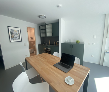 Suite Plus 1.31 - Photo 2