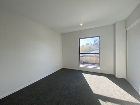 31/101 Mackworth Street, Woolston - Photo 4