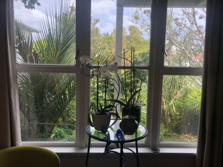 Hataitai Large bedsit - Photo 3