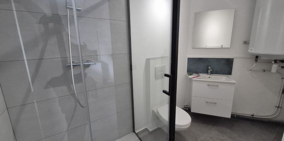 Location Appartement 1 pièce 20m² ANZIN 59410 - Photo 3