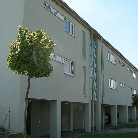 Wohnung in Neudorf im Weinviertel - Photo 3