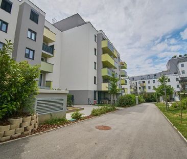 Innehoflage mit Balkon - nahe U1 - Foto 6