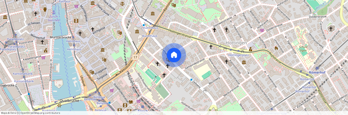 Steinwiesstrasse 2, 8032 Zürich