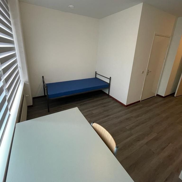 Per direct beschikbaar: Gemeubileerde studio voor (HBO-)studenten in Den Haag - Binckhorst - Foto 1