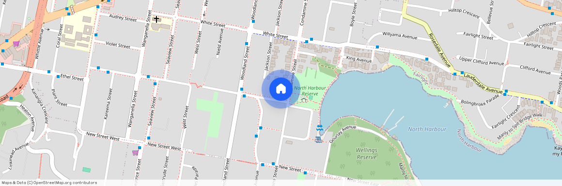 145 Condamine Street, NSW 2093, Balgowlah