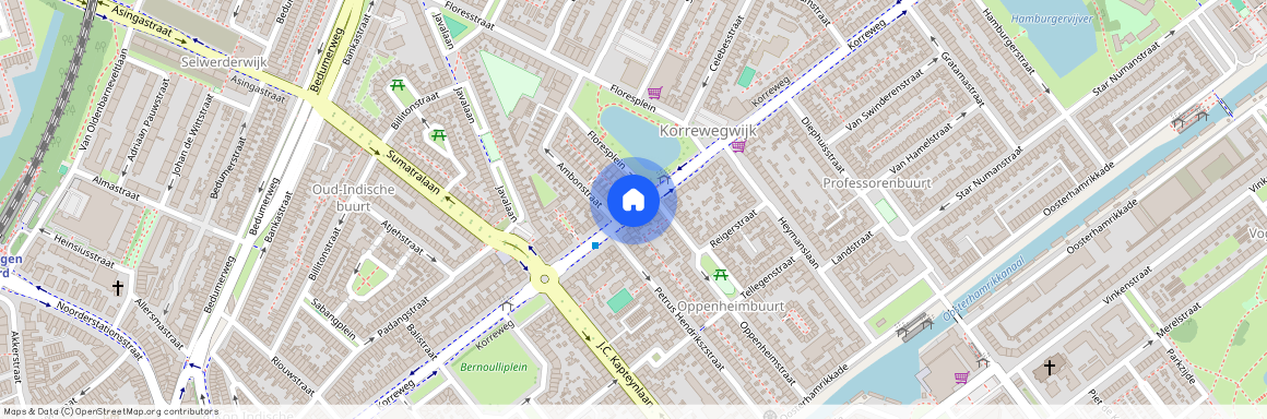 Professorenbuurt, 9714 AE, Korreweg, Groningen