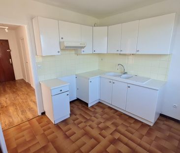 Location Appartement 2 pièces 50m² ANNEMASSE 74100 - Photo 3
