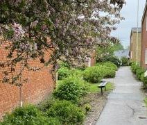 Villaparken 1 st.th. 7800 Skive - Foto 4