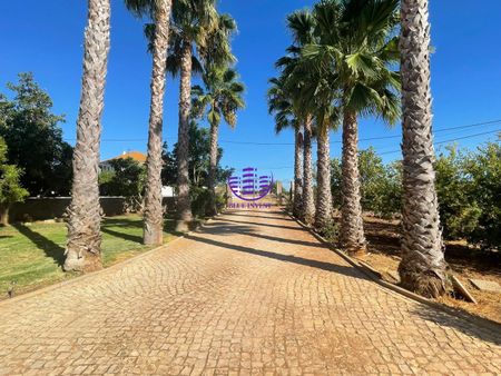 Moradia T3+1 em Faro - Photo 2