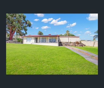 7 Cedric Avenue, Redwood Park, SA 5097 - Photo 5