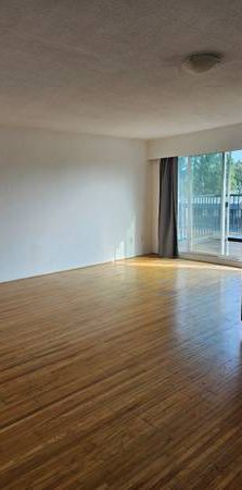 Sunny 1 bed penthouse - Photo 1