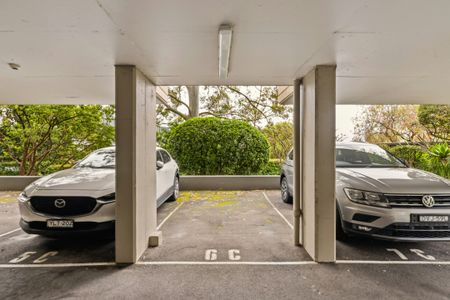 6C / 10 Abbott Street - Photo 2