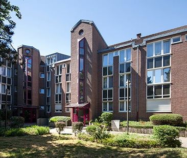 Kurt-Schumacher-Str. 8, 53340 Meckenheim OT Meckenheim - Foto 1