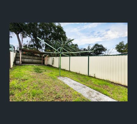 55 Darley Street, Newtown, NSW 2042 - Photo 4