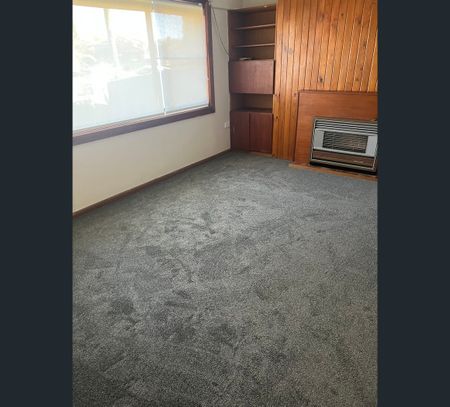 56 Macquarie Road, Ingleburn, NSW 2565 - Photo 5