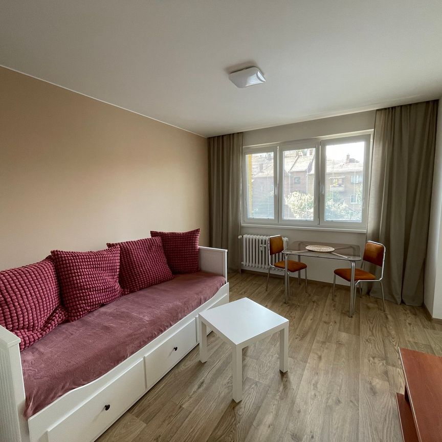 Pronájem bytu 1+kk a garsoniéry 27 m², Vídeňská, Brno - Photo 1