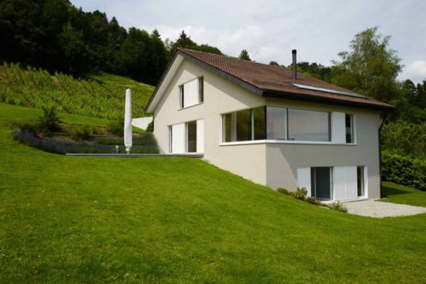 Exceptional contemporary villa with panoramic views of Lake Geneva - Photo 1