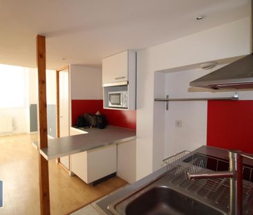 Location Appartement 1 pièce 44m² GRENOBLE 38000 - Photo 5