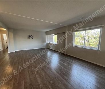 4452 West 10th Avenue Vancouver - Photo 4