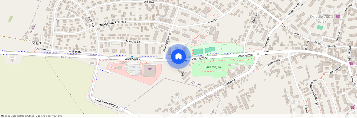 ul. Powstańców Wielkopolskich, Gostyń, Gostyń, gostyński, wielkopolskie